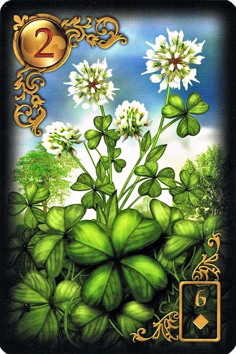Gilded Reverie Lenormand